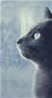 Phantom_Zelon's avatar