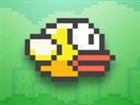 Roundsquare's avatar